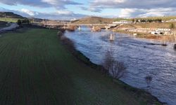 Diyarbakır'da yağışlar çiftçiyi umutlandırdı