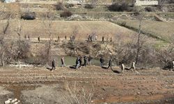 Kayıp 8 yaşındaki çocuk için HES kapakları açıldı