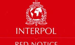 Kırmızı bülten nedir, "Difüzyon mesajı" ne anlama gelir?