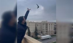 Mardin’de bitkin halde eve giren ebabil kuşu doğaya salındı