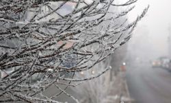 Mardin'de hava durumu: Güneşli ve don olacak