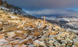 Mardin'de iş yerinde ölü bulundu