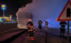 Mardin'de yem yüklü tırın dorsesinde yangın