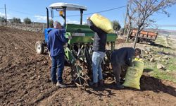 Gaziantep'te nohut ekimine başlandı