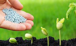 Diyarbakır'daki çiftçileri de ilgilendiren kritik karar