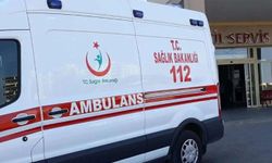 Diyarbakır'da tır otomobili biçti: 2 yaralı