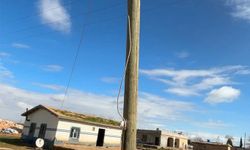 Direği oyup eve gizli hat çekmişler