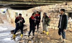 Selin vurduğu Koçbeyi köyünde yaralar sarılıyor