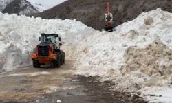 Şırnak'ta kar temizleme çalışmaları devam ediyor