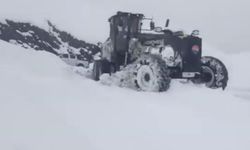 Şırnak'ta kar nedeniyle kapanan yollar açıldı