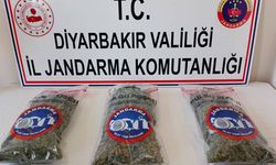 Diyarbakır’da narkotik operasyonları