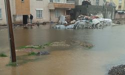 Diyarbakır'da yine aynı yerde kanalizasyon taşkını