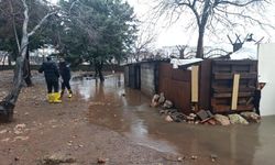 Yağış sonrası kümeste 5 tavuk telef oldu