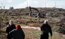 Yüzlerce zeytin ağacı işgalciler tarafından kesildi: "Güvenlik alanı" hazırlığı