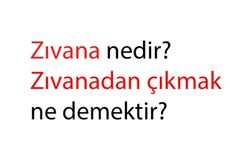 Zıvana nedir? Zıvanadan çıkmak deyiminin hikayesi nereden gelir?