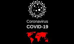 Pandemi nedir? Pandemik hastalıkların özellikleri nelerdir?