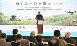 Cumhurbaşkanı Yardımcısı Yılmaz, Diyarbakır'da Tarım, Gıda ve Sanayi Odaklı Kalkınma Vizyonu Çalıştayı'nda konuştu