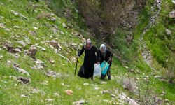 Diyarbakır dağlarında Gulik ve Kenger mesaisi devam ediyor