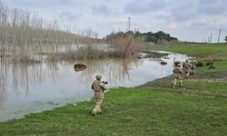 24 ilde göçmen kaçakçılığı operasyonu: 132 organizatör yakalandı
