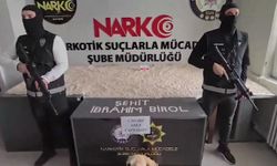 71 ilde narkotik operasyonu: 903 şüpheli yakalandı