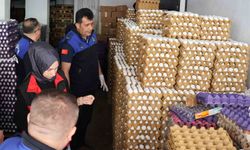 5 bin koli yumurta imha edildi