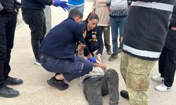 Adıyaman'da motosiklet ile otomobil çarpıştı: 1 yaralı