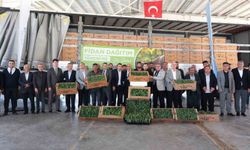 Arabanlı karpuz üreticilerine yüzde 50 hibeli fide desteği