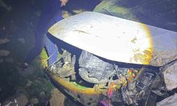 Cizre'de kamyonet şarampole uçtu: Bir ağır yaralı