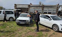 Dicle'de çiftçilere yüzde 100 hibeli fıstık çöğürü dağıtıldı