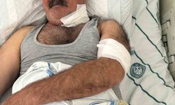 Diyarbakır'da at sahibini boğazından ısırarak ağır yaraladı