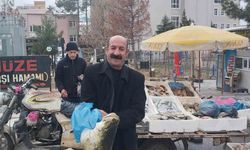 Diyarbakır'da balık avı yasağı başladı