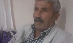 Diyarbakır'da ineğinin peşinden koşan adama araç çarptı