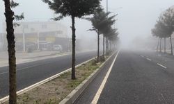 Diyarbakır'ın bazı bölgelerinde sis etkili oldu