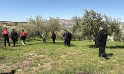 Dolu sonrası hasar tespit çalışmaları başladı