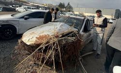 Kontrolden çıkarak devrilen otomobilin sürücüsü öldü