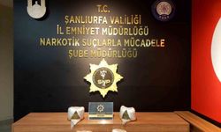 Şanlıurfa'da 2 kilo 450 gram skunk ele geçirildi: 2 gözaltı