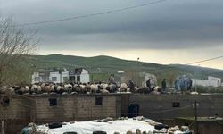 Siirt'te araçlar sel sularında kayboldu