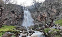 Şırnak'ta baharla birlikte şelaleler coştu