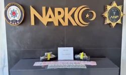 Ağrı'da gerçekleştirilen narkotik operasyonda 1 kişi tutuklandı