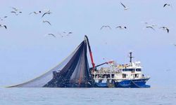 Av yasağı başladı