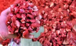 Aynı şehirde bir skandal daha: At ve eşek eti ifşa edildi