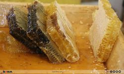 Balda sahteciliğe karşı yeni düzenleme