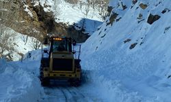 Batman’da 5 aydır kapalı olan yol yeniden ulaşıma açıldı