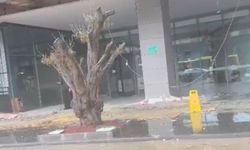 Batman’da sağanak sonrası sel: AVM girişinde tavan çöktü