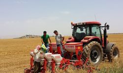 Bazı gübrelerde gümrük vergisi sıfırlandı