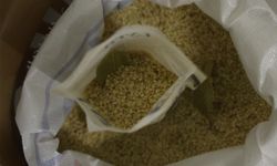 Diyarbakır'ın tescilli ‘Karacadağ pirinci’ dünya piyasası yolunda