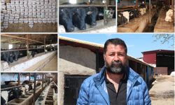 Besicilerden uyarı: Önlem alınmazsa sektör bitecek