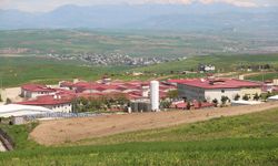 Beşiri Cezaevi'nin su sorunu için yeni kuyular açıldı