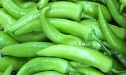 Tarlada 42, markette 250 lira: Aradaki fark tepki çekti