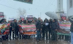 Bingöl Karlıova'da jeotermale tepki